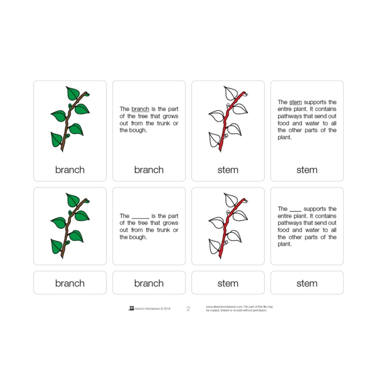 Parts of a Branch Puzzle with Nomenclature Cards (6-9)