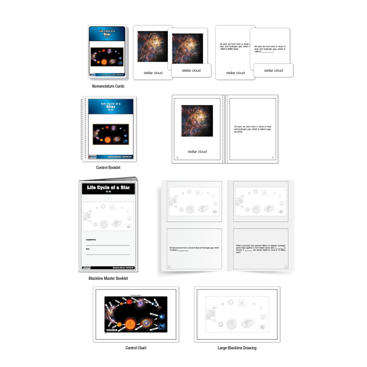 Life Cycle of a Star Puzzle with Nomenclature Cards (6-9)