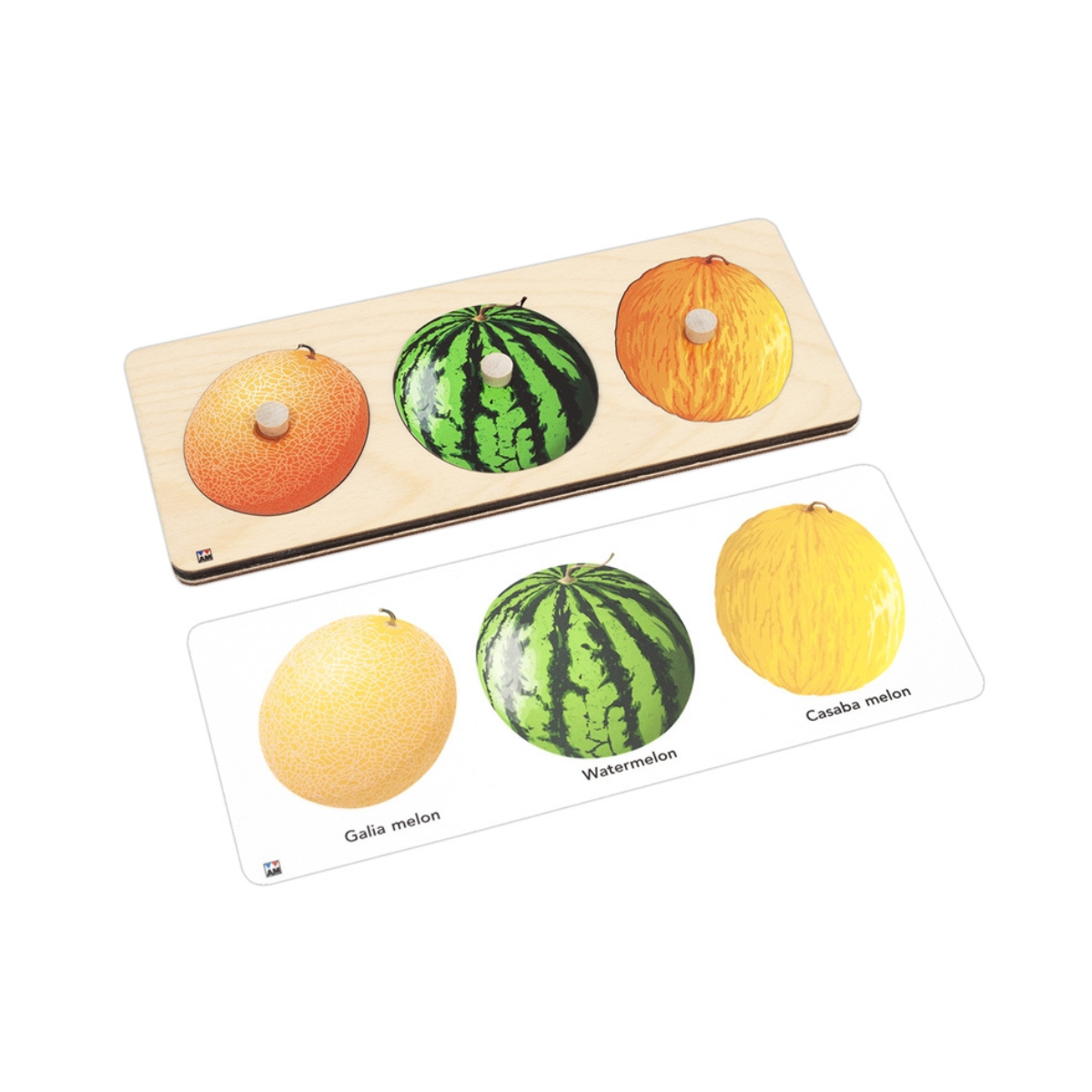 Types of Fruits Knobbed Puzzle