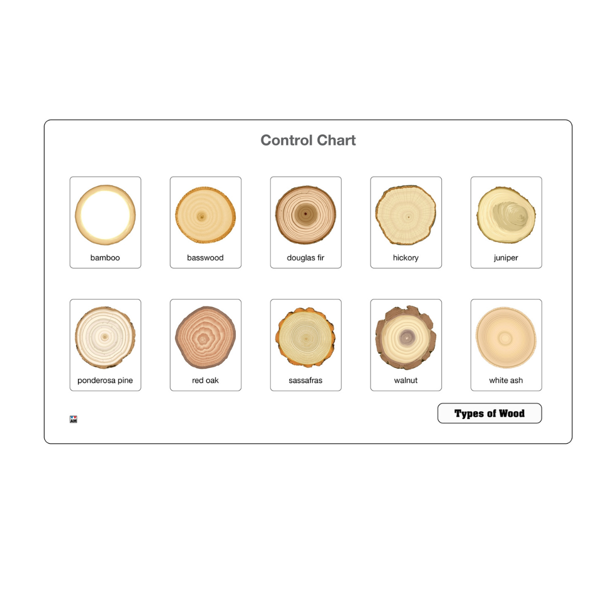 Types of Wood Puzzle with Nomenclature Cards 6-9 (Printed)