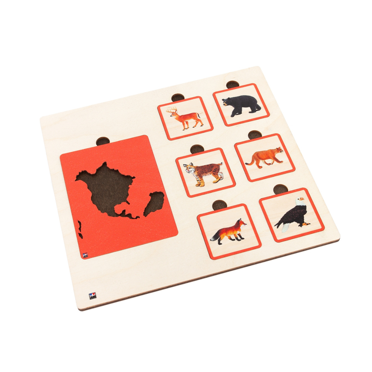 Continents and Their Animals Sorting Tiles