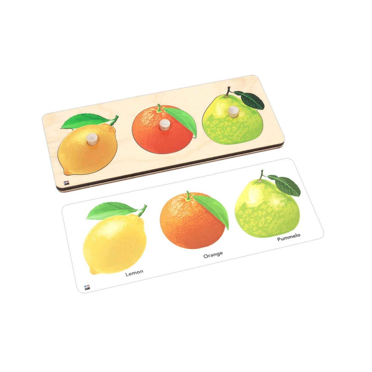 Types of Fruits Knobbed Puzzle