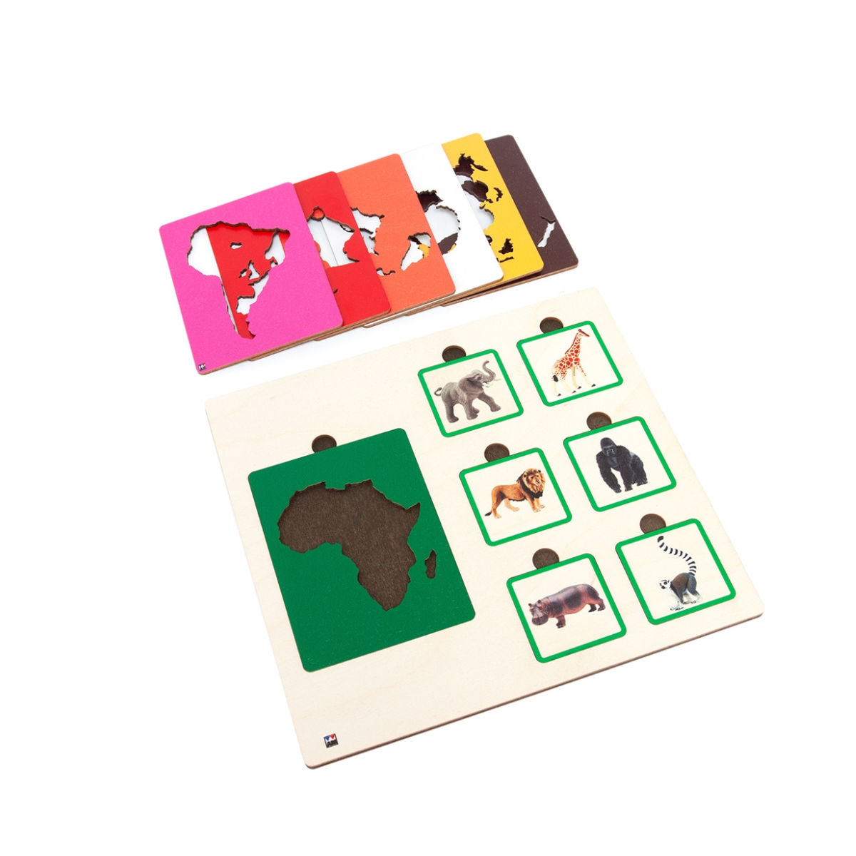 Continents and Their Animals Sorting Tiles