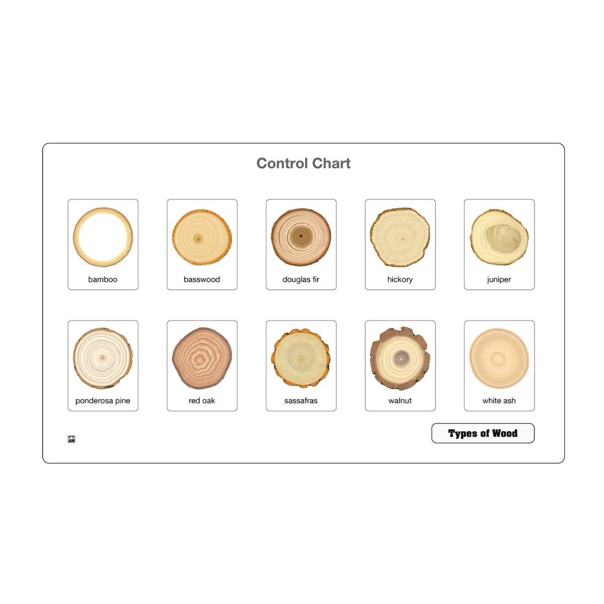 Types of Wood Puzzle with Nomenclature Cards 3-6 (Printed)