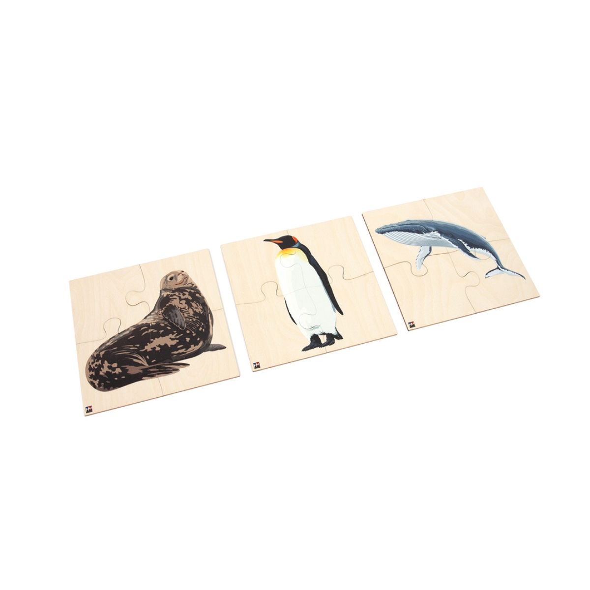 Animals of Antarctica: Jigsaw Puzzles