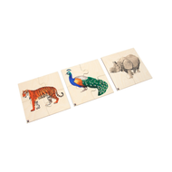 Animals of Asia: Jigsaw Puzzles