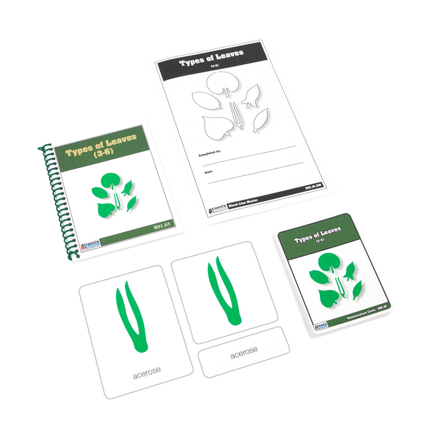 Types of Leaves Nomenclature Cards (3-6)