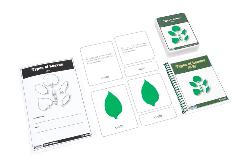 Types of Leaves Nomenclature Cards (6-9)