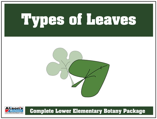 Types of Leaves Control Booklet