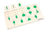 Types of Leaves puzzle with Nomenclature Cards 3-6 (Printed)