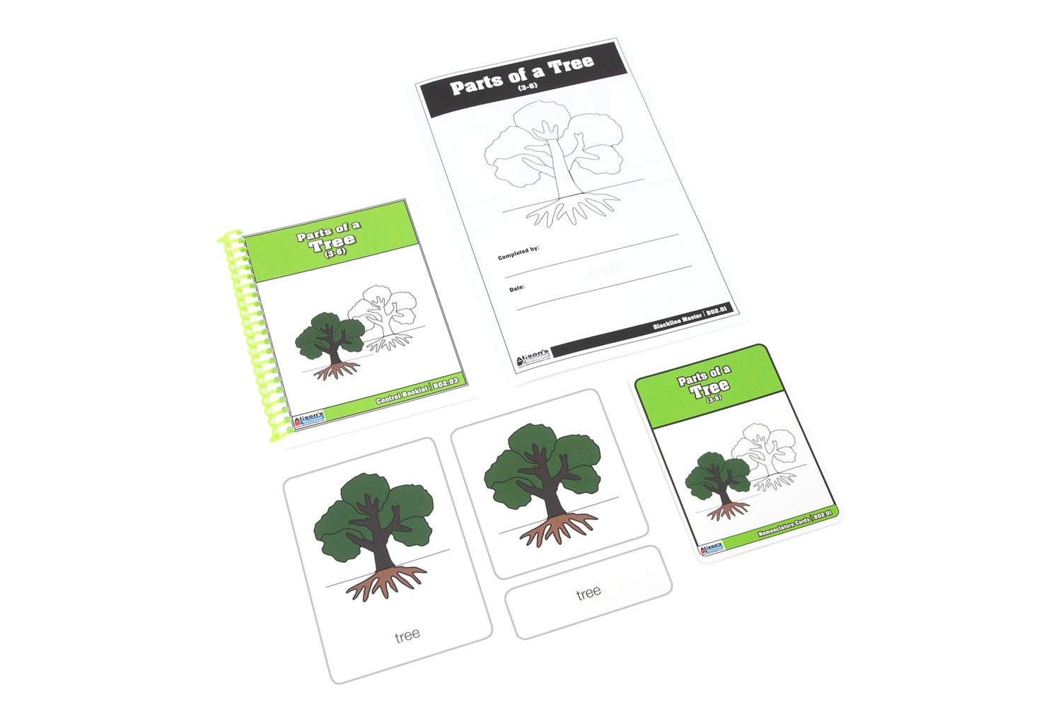 Parts of a Tree Nomenclature Cards 3-6