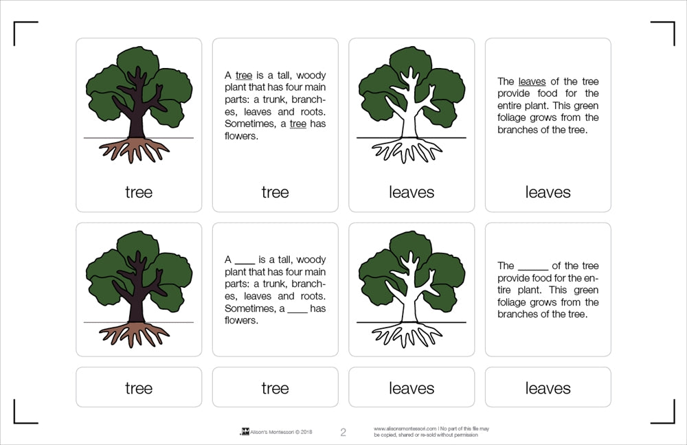 Parts of a Tree Nomenclature Cards 6-9