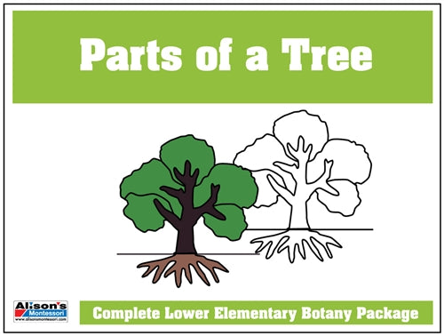 Parts of a Tree Control Booklet