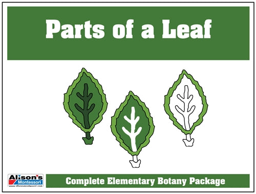 Parts of a Leaf Control Booklet