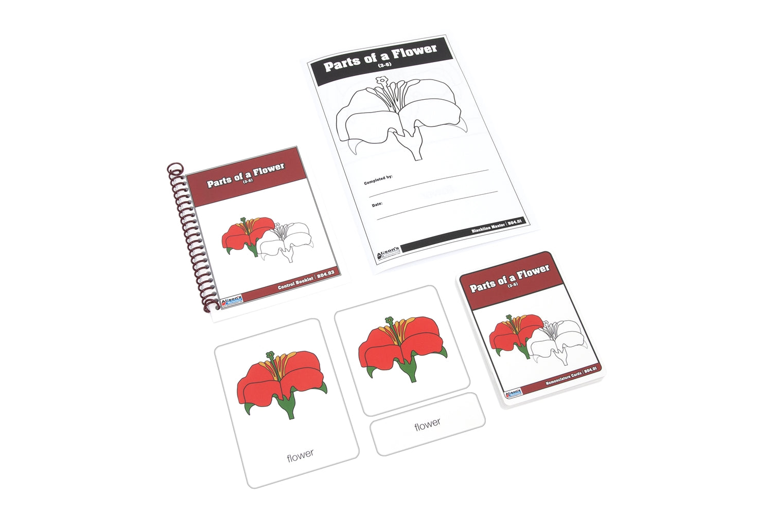 Parts of a Flower Nomenclature Cards 3-6