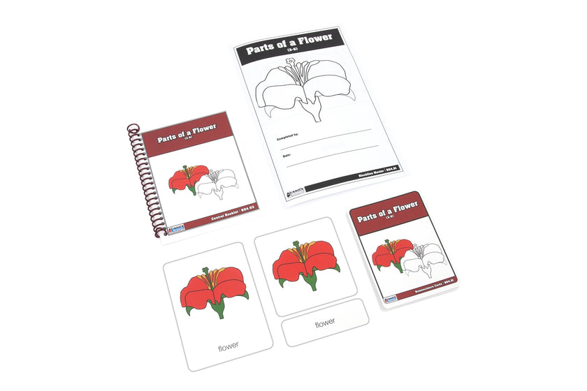 Parts of a Flower Nomenclature Cards 3-6