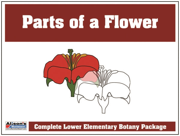Parts of a Flower Control Booklet