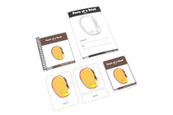 Parts of a Seed Nomenclature Cards 3-6