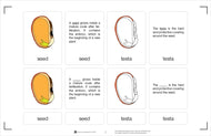 Parts of a Seed Nomenclature Cards 6-9