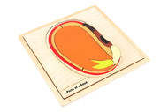 Parts of a Seed Puzzle with Nomenclature Cards 6-9 (Printed)