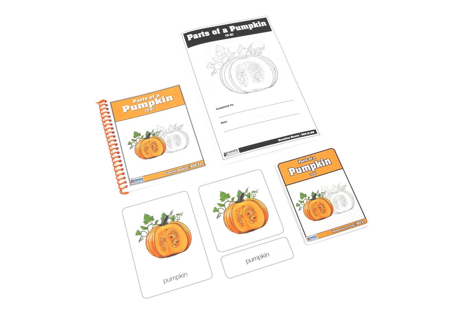 Parts of a Pumpkin (Nomenclature Cards) (3-6)