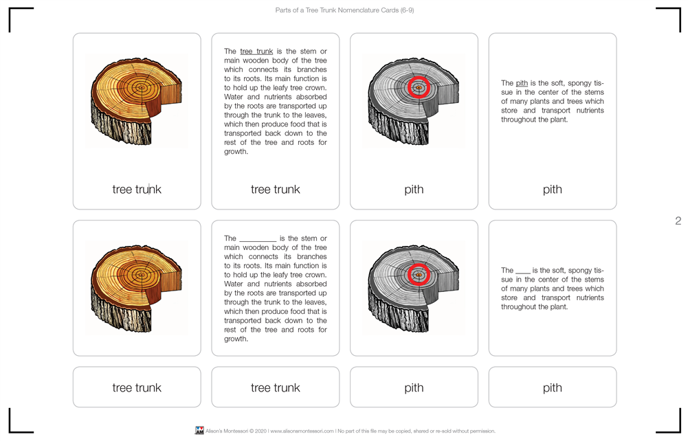 Parts of a Tree Trunk (Nomenclature Cards) (6-9)