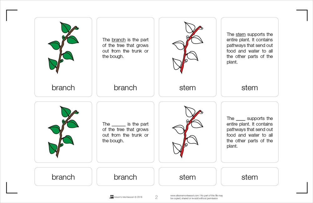 Parts of a Branch Nomenclature Cards 6-9
