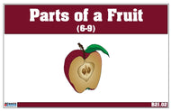 Parts of a Fruit Nomenclature Cards (6-9)