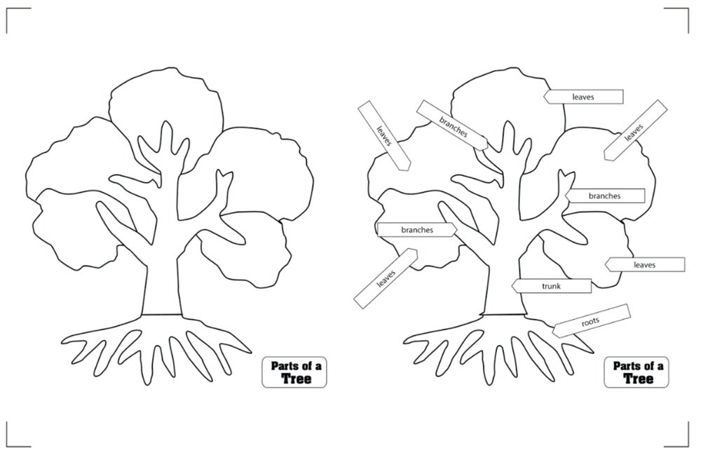 Botany Puzzles Working Charts and Control Charts