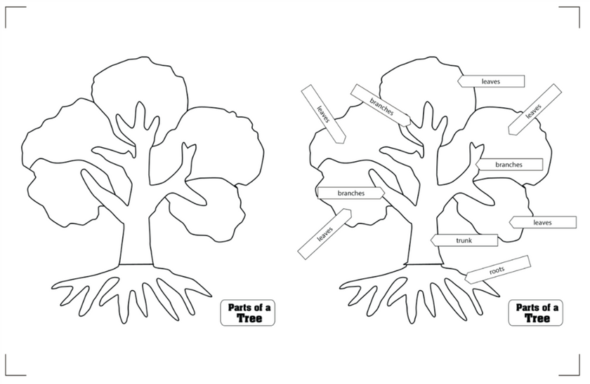 Botany Puzzles Working Charts and Control Charts
