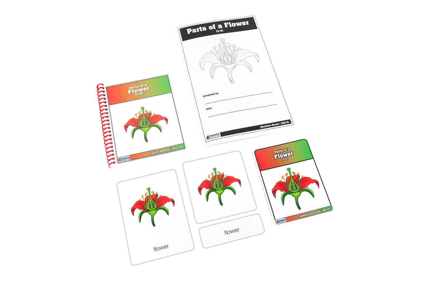 Parts of a Flower Nomenclature Cards 