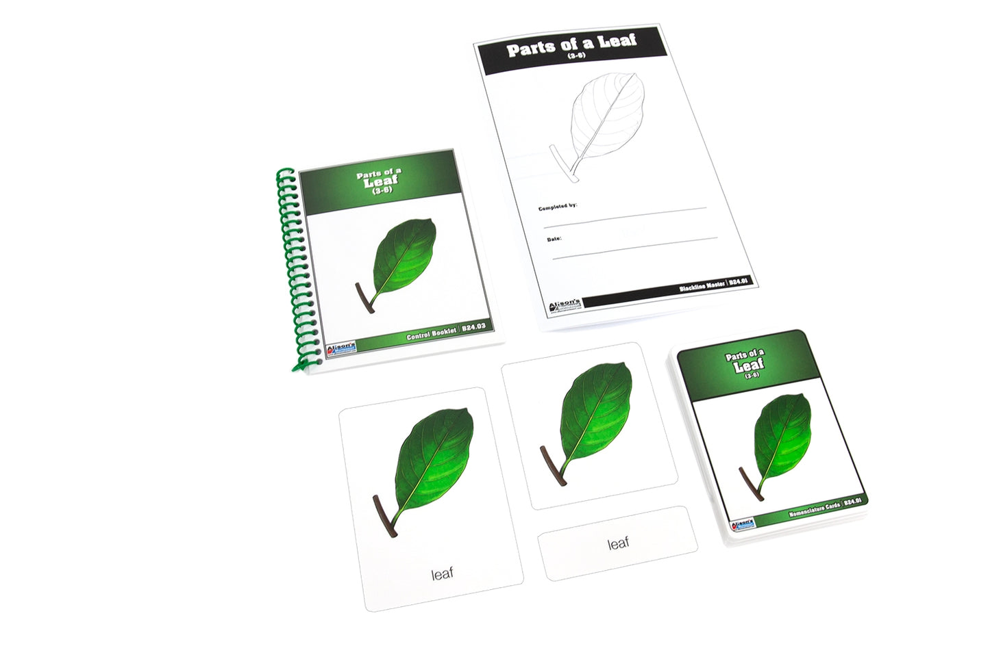 Parts of a Leaf Nomenclature Cards