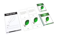 Parts of a Leaf Nomenclature Cards