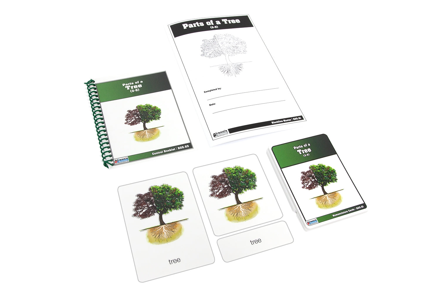 Parts of a Tree Nomenclature Cards