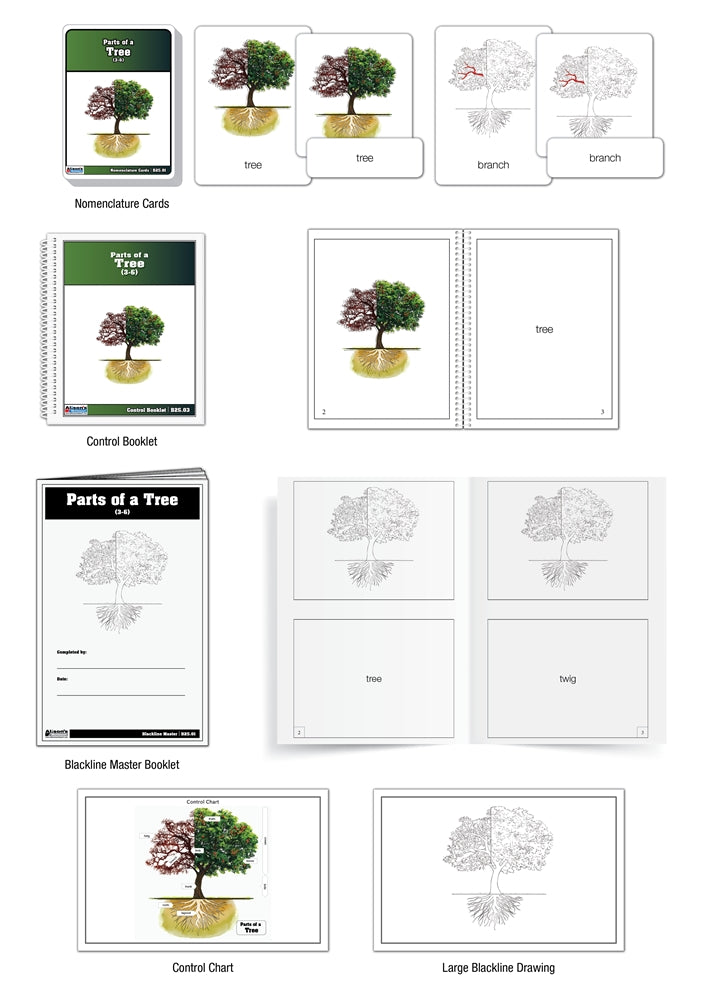 Parts of a Tree Nomenclature Cards