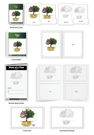 Parts of a Tree Nomenclature Cards