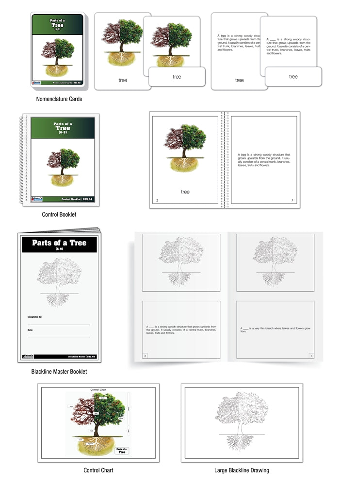 Parts of a Tree Nomenclature Cards (Printed) (6-9)