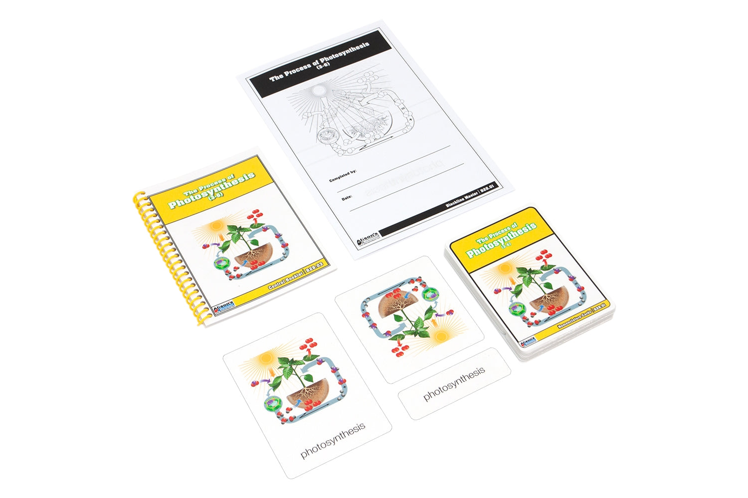 The Process of Photosynthesis Nomenclature Cards (3-6)