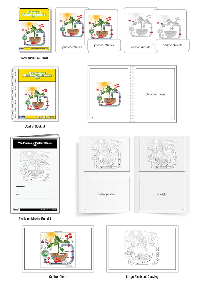 The Process of Photosynthesis Nomenclature Cards (3-6)