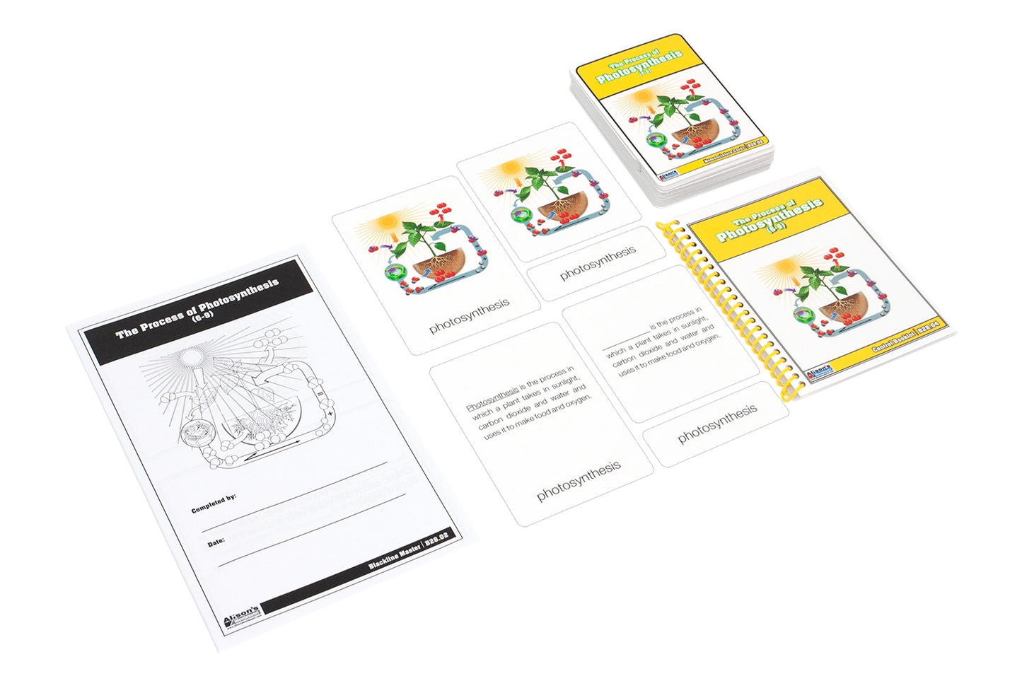 The Process of Photosynthesis Nomenclature Cards (6-9)
