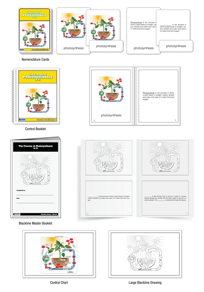 The Process of Photosynthesis Nomenclature Cards (6-9)