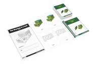 The Structure of a Leaf Nomenclature Cards (Printed) (6-9)