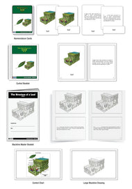 The Structure of a Leaf Nomenclature Cards (Printed) (6-9)