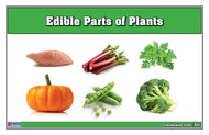 Edible Parts of Plants