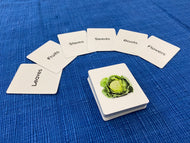 Edible Parts of Plants