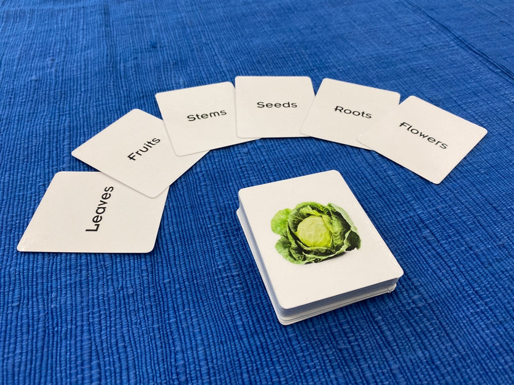 Edible Parts of Plants