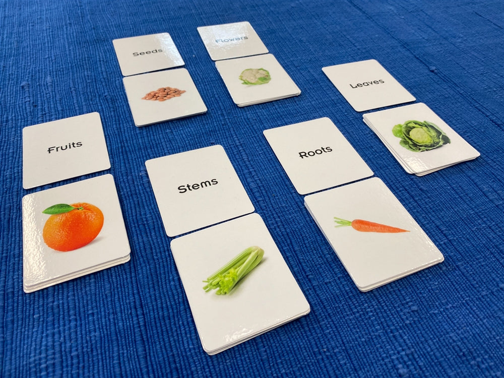 Edible Parts of Plants