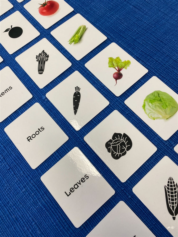 Edible Parts of Plants