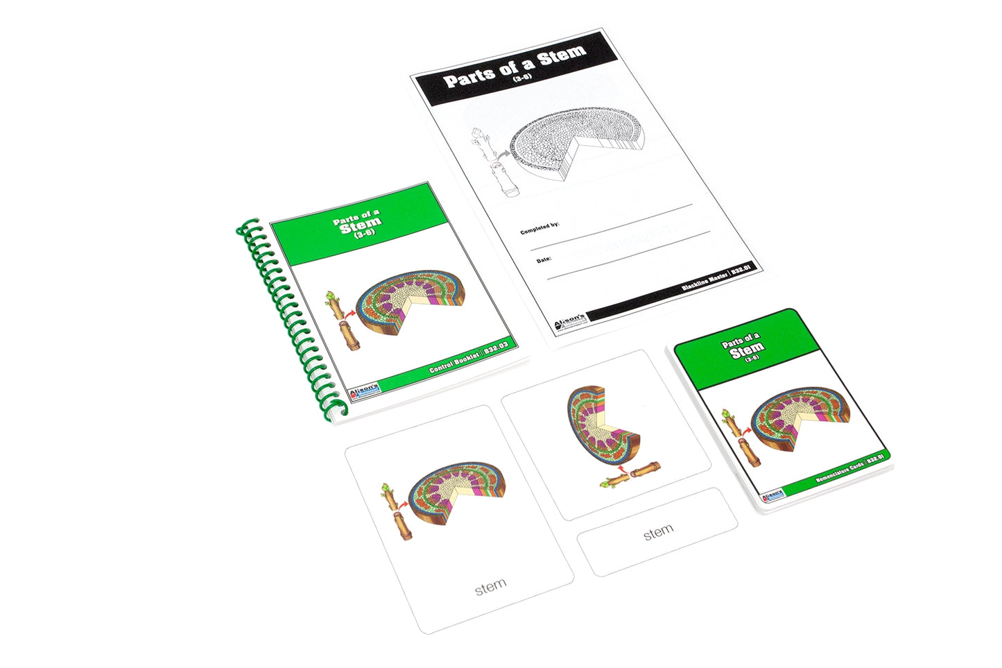 Parts of a Stem Nomenclature Cards (Printed) (3-6)