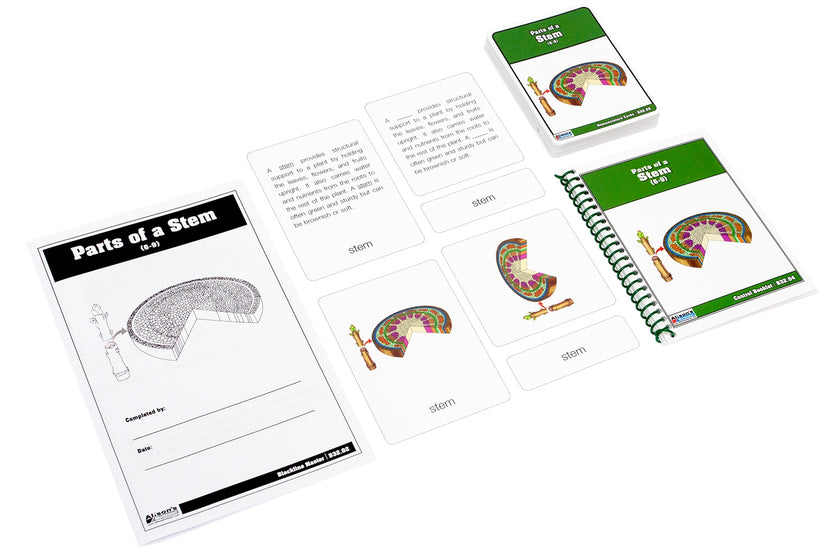 Parts of a Stem Nomenclature Cards (Printed) (6-9)